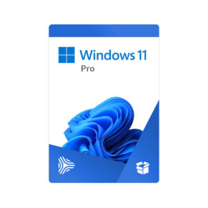 Windows 11 Pro 64Bit